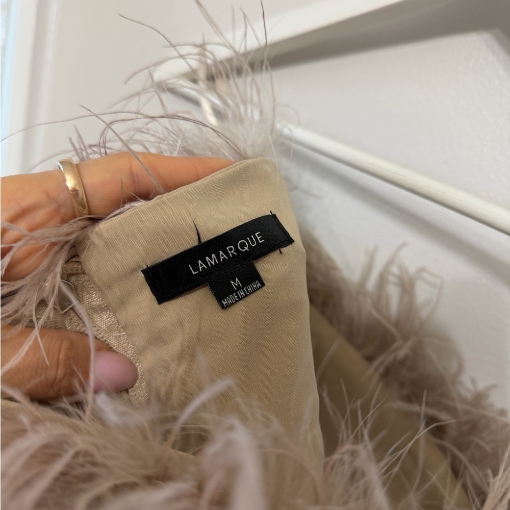 Lamarque Feathered Crop Top in Dusty Pink - Picture 7 of 12